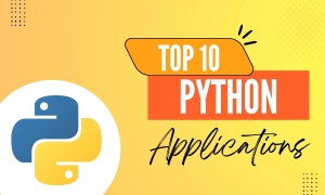 Top 10 python Applications