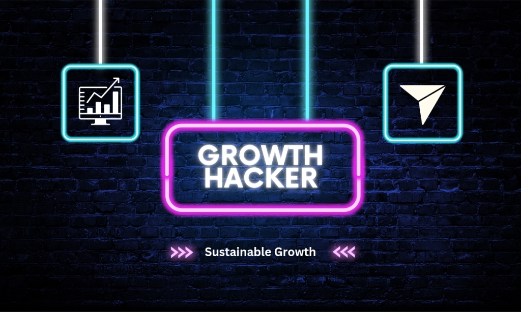 Growth Hacker: The Art of Sustainable Business Growth